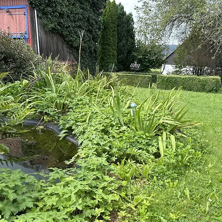 Zur Alten Post Ulrichstein