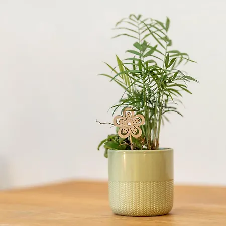 Zur Alten Post Ulrichstein