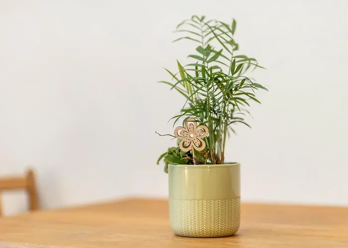 Zur Alten Post Ulrichstein